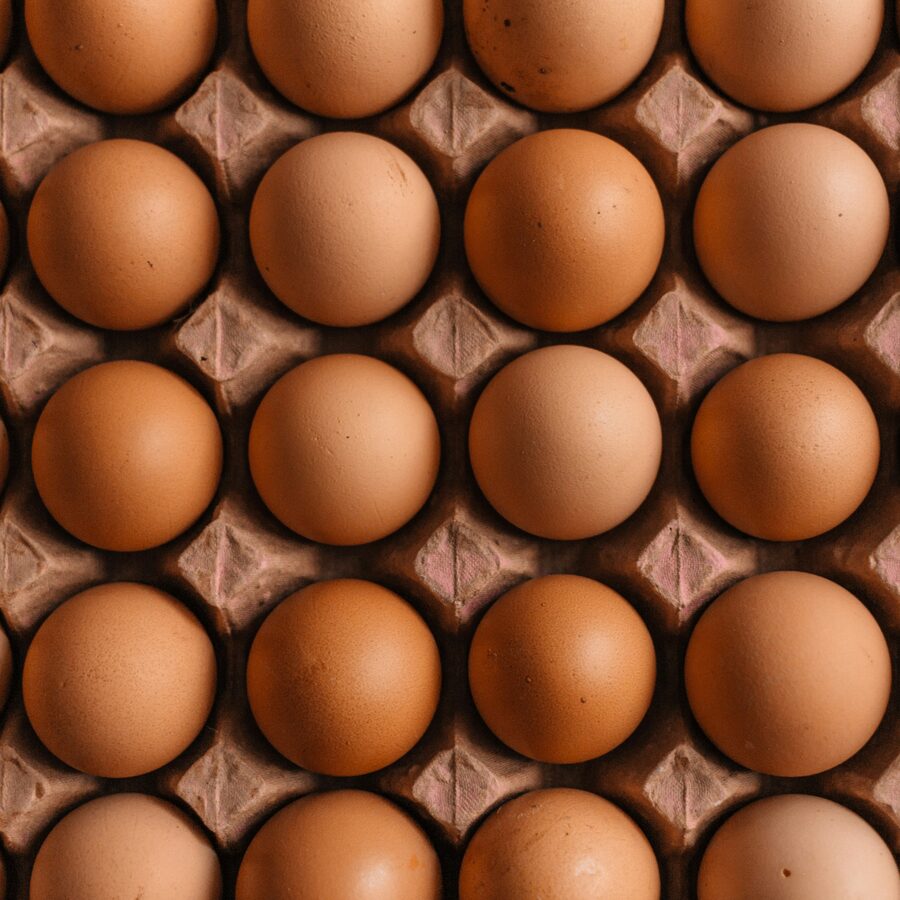 Des oeufs dans une boite
